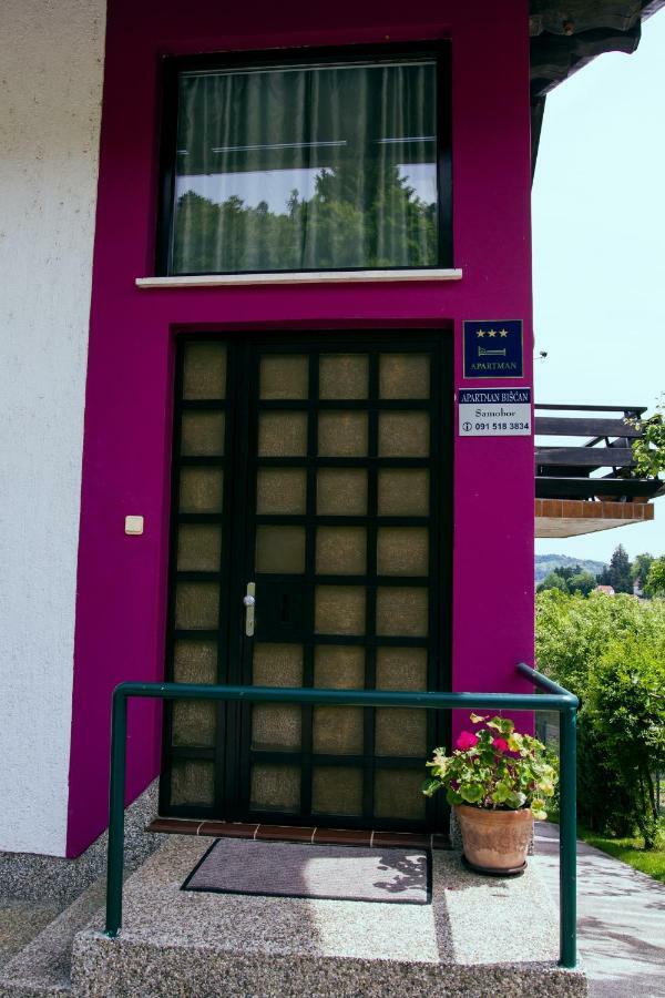 Apartment Biscan Samobor Esterno foto